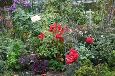 Oktober  1219.webp