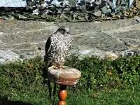 DSCF3170 (2).webp