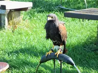 DSCF3171 (2).webp