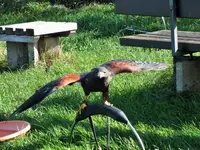 DSCF3172 (2).webp