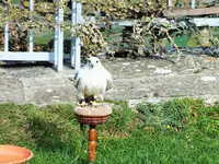 DSCF3186 (2).webp