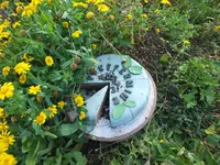 DSCF3045.webp