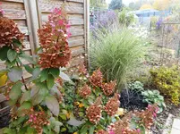 Garten Ende Oktober 2.jpg