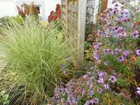 Garten Ende Oktober 5.webp