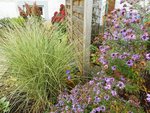 Garten Ende Oktober 5.jpg