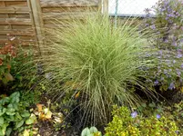 Garten Ende Oktober 12.jpg