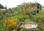 Garten Ende Oktober 13.jpg