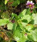 20191023_204755.webp