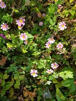 20191019_154245.webp