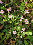 20191019_154245.jpg