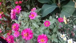 DSC_0876 (5).webp