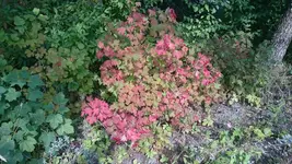 DSC_1140 (1).webp
