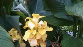 DSC_0875 (4).webp