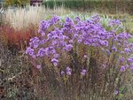 DSCF3061.JPG