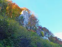 DSCF3161 (2).JPG