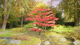 P1200483.webp