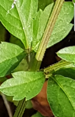 20191024_191707.webp