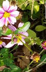 20191024_192400.jpg