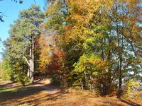 DSCF1916.webp