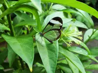 DSCF3138 (2).webp