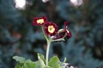 DSC08428.JPG