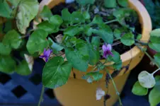 DSC08430.webp