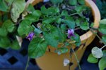 DSC08430.JPG