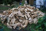DSC08429.JPG
