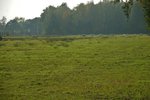 DSC08424.JPG