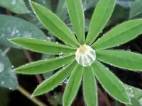 IMG_20191018_135536.webp