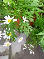 P1040848.webp