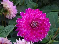 DSC00724.JPG