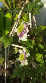 20191027_154922.jpg