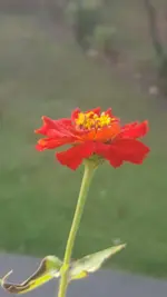 20191027_154537.jpg