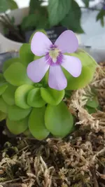 20191025_165444.webp