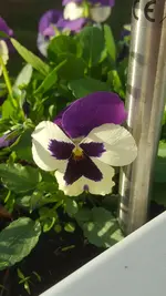 20191027_154906.webp