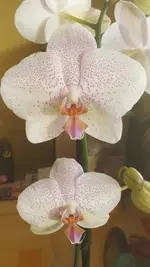 20191027_154629.webp