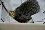 DSC08436.JPG