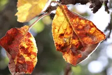image002.webp