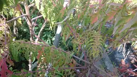 DSC_1211 (3).webp