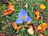 DSCF3196 (2).webp