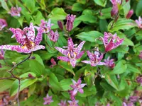 DSCF3215 (2).webp