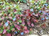 DSCF3219 (2).webp