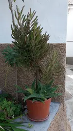 20191029_113705.webp
