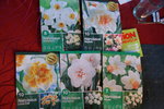 DSC08448.JPG