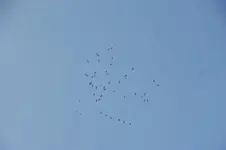 DSC08440.JPG