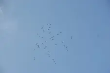 DSC08441.webp