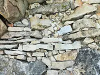 DSCF3224 (2).webp