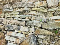 DSCF3225 (2).webp