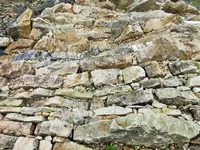 DSCF3226 (2).webp